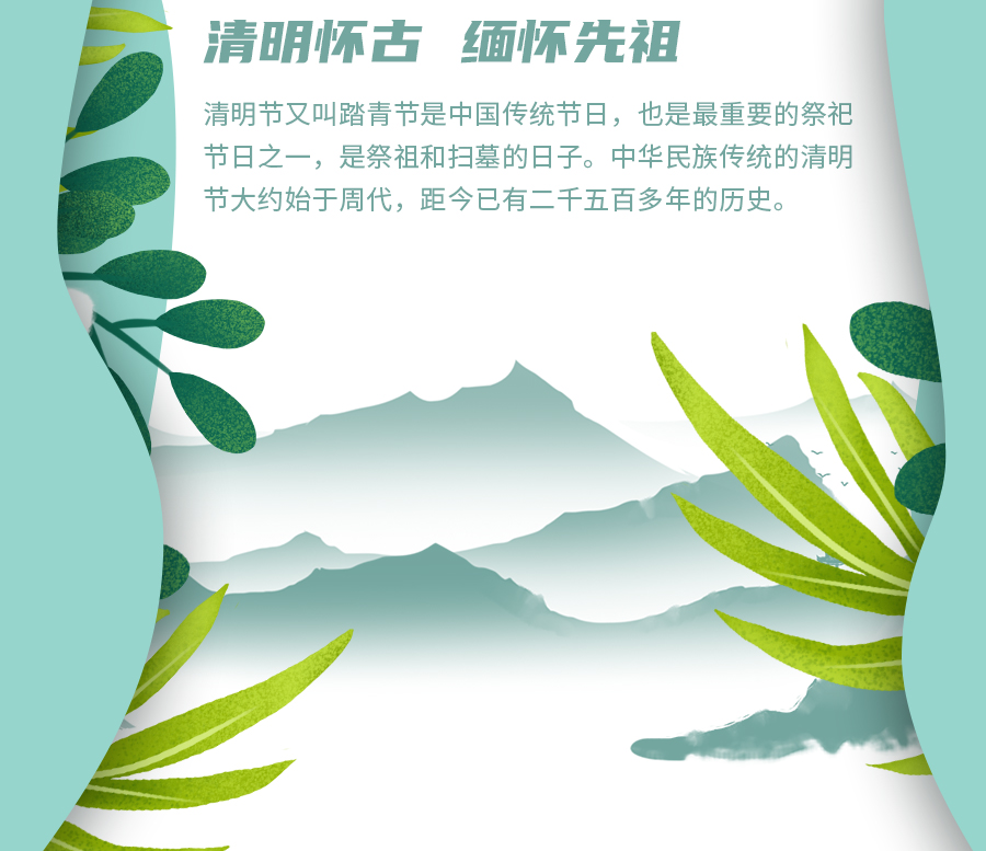 清明节|东风插柳,迎春踏青!<